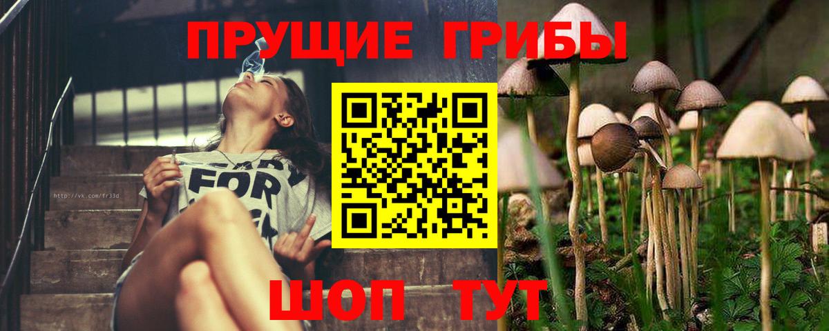 Галлюциногенные грибы мухоморы  Вход с VPN  Псилоцибиновые грибы Psilocybine cubensis  Керчь 